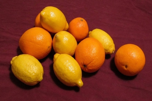 fagita