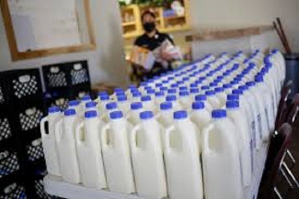 milk 1