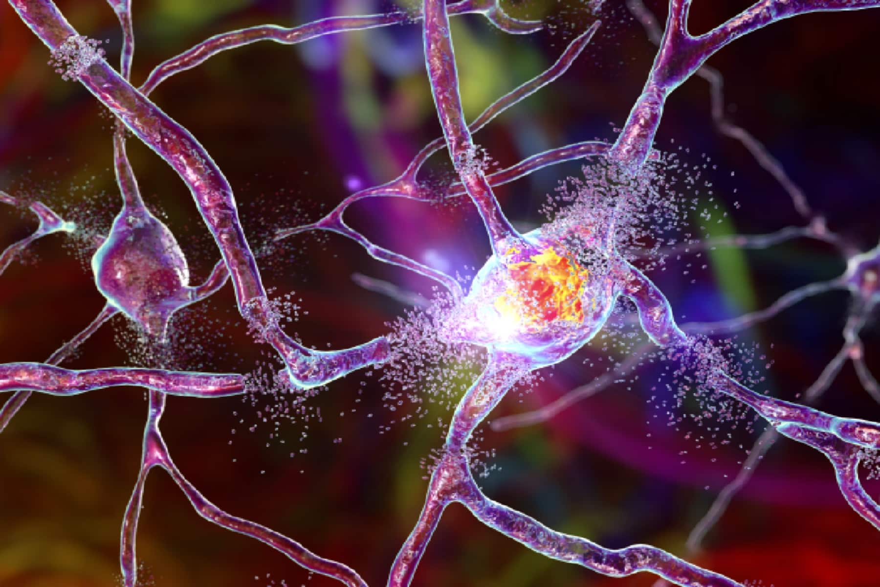 neurologikes pathiseis