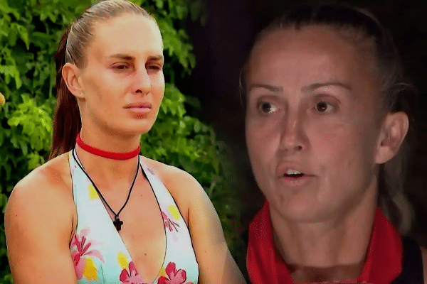 survivor 2