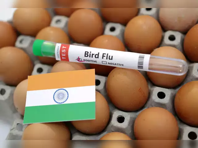 avian flu