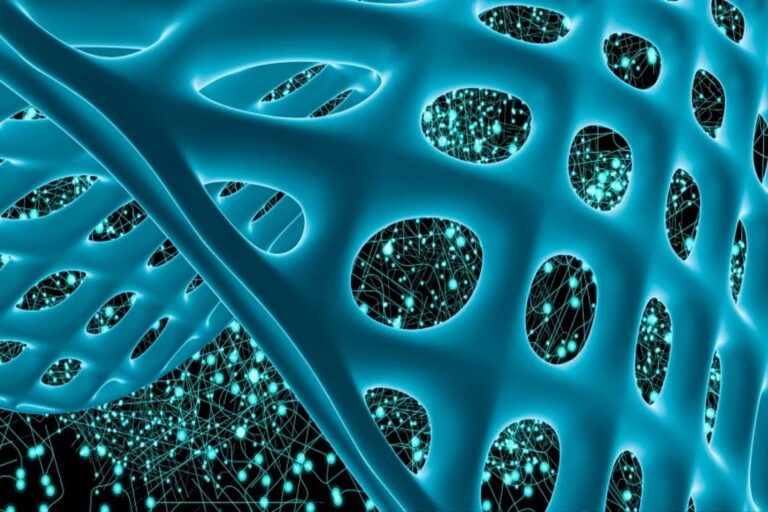 Μηχανοβιοϋλικά: Αρχές μηχανοβιολογίας για τον προγραμματισμό λειτουργικών βιοϋλικών