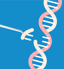 crispr a