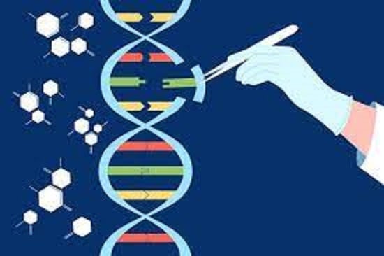 crispr b