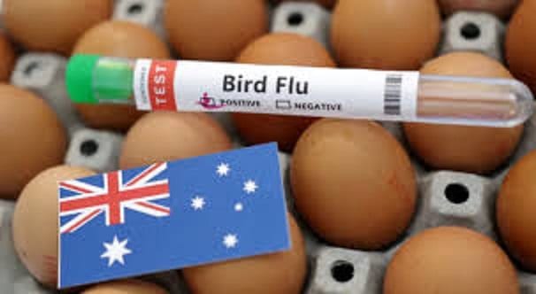 flu