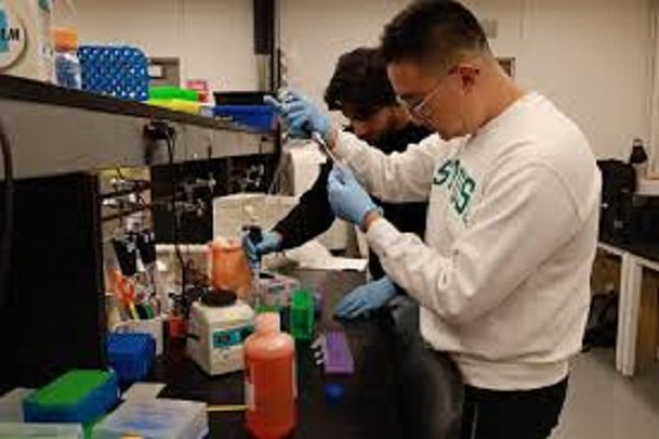 lab 1