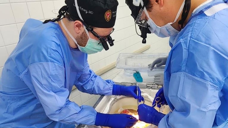 surgeon