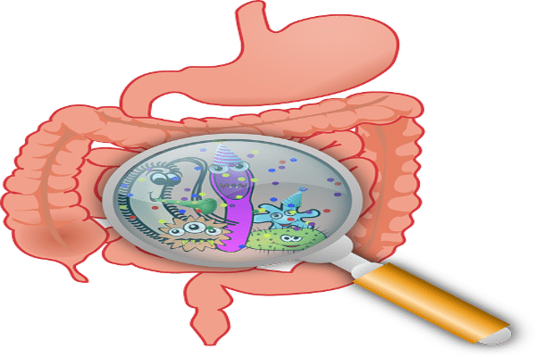 ecoli 1
