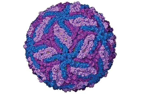 zika