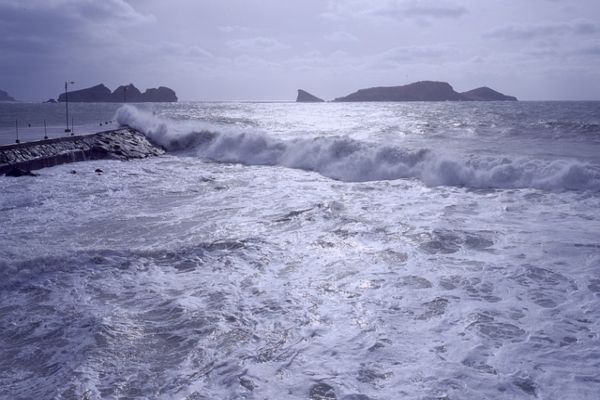 thalassa 1