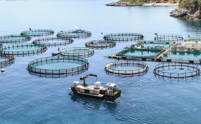 fishfarming applications f s