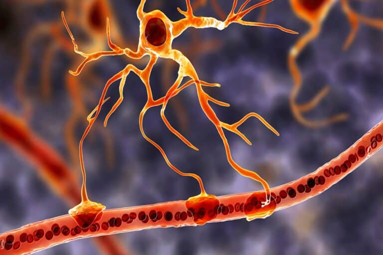 Ο Μοριακός Χάρτης που Αποκαλύπτει τα Μυστικά της ALS