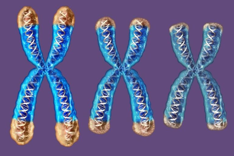 Αναγέννηση αρθρώσεων: Νέα ελπίδα για τη γήρανση και την οστεοαρθρίτιδα