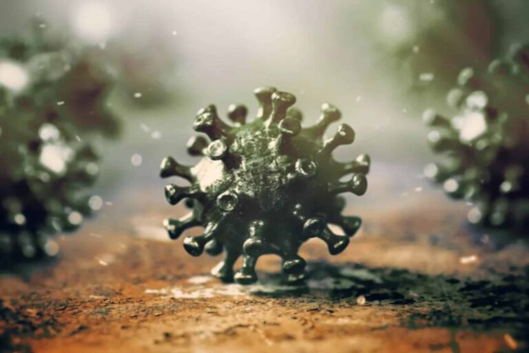 Πώς οι νέες παραλλαγές COVID-19 ξεγελούν το ανοσοποιητικό