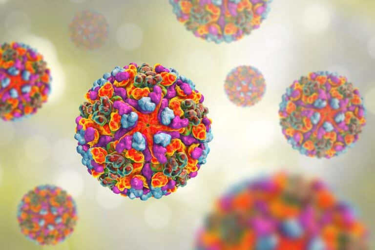 Ο εγκέφαλος σε πολιορκία: Η μυστηριώδης αυτοάνοση εγκεφαλίτιδα