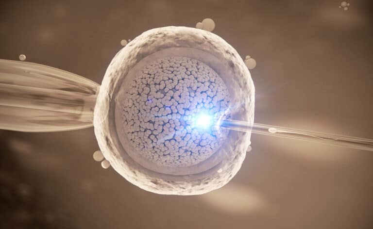 Σεξουαλική επιθυμία και IVF: Κατανόηση αυτής της σύνθετης σχέσης