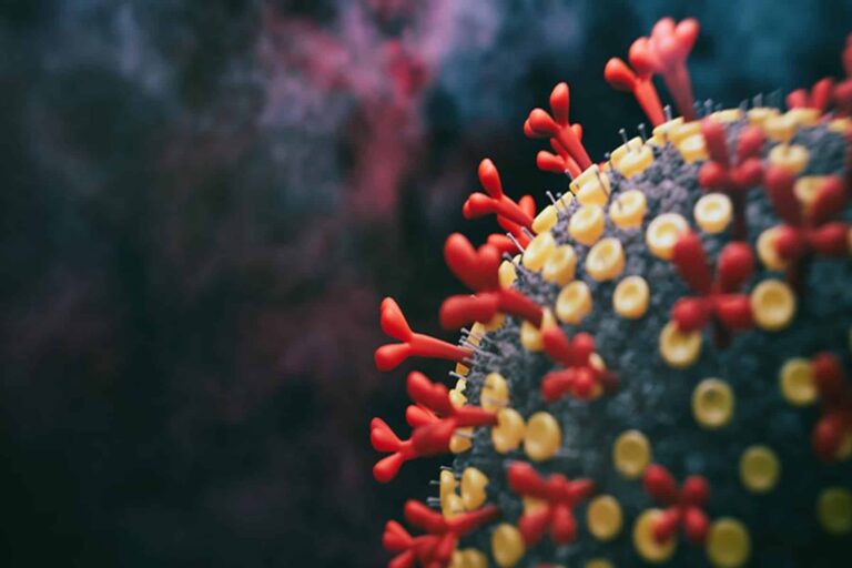 Πώς οι πολιτικές επιλογές της Κίνας συνέβαλαν στο ξέσπασμα της πανδημίας COVID-19