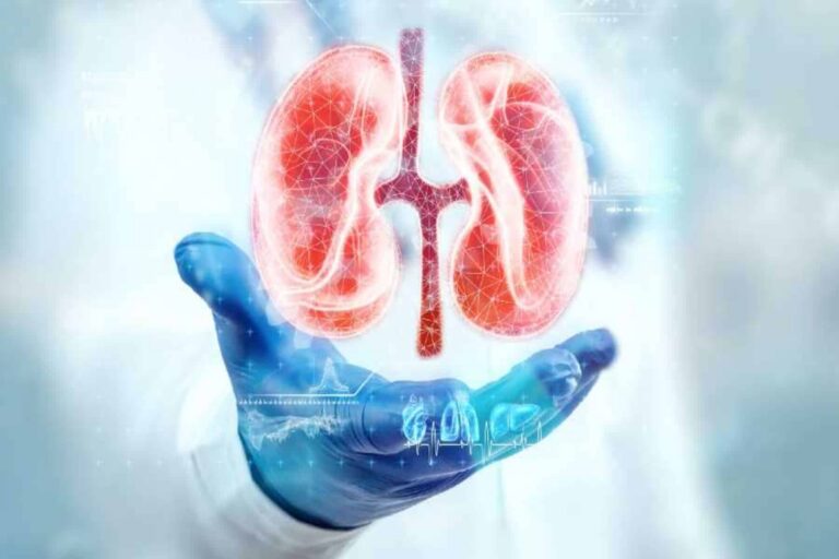 Αισθητήρας πίεσης: Πώς επηρεάζει τους νεφρούς στον έλεγχο υγρών;