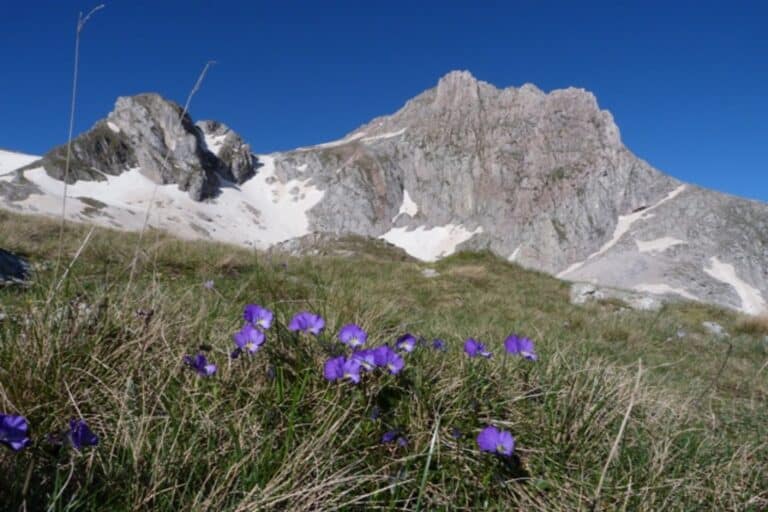 Τραγωδία στα Βαρδούσια Όρη: Ο επίλογος για τους 4 ορειβάτες