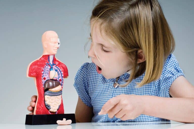 Τεστ αίματος εντοπίζει τη νόσο του Crohn χρόνια πριν από την εμφάνιση συμπτωμάτων