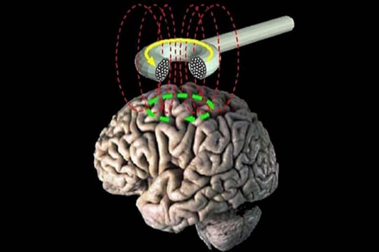 Σεξουαλικά ενισχυτικά: Πόσο επηρεάζουν την ερωτική διέγερση;