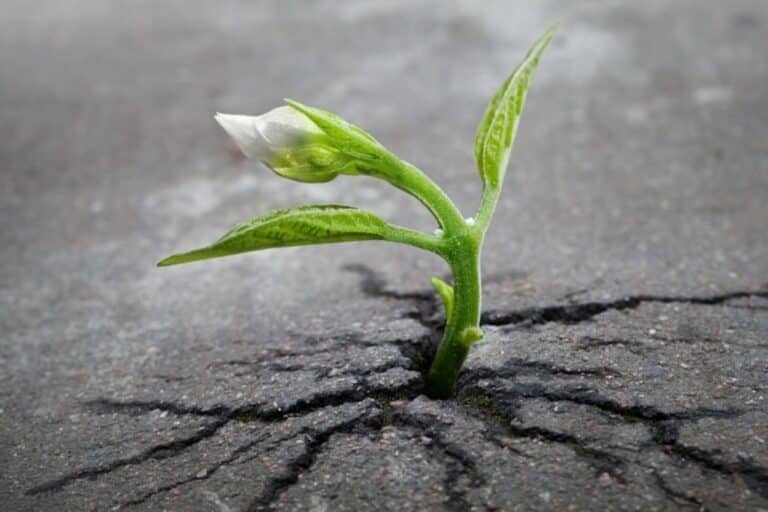 Μήπως ήρθε η ώρα για ένα restart και να δεις τα πράγματα αλλιώς;