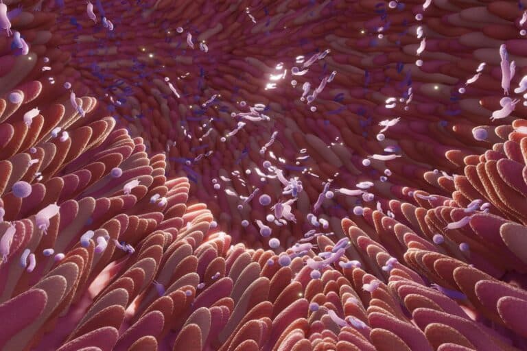 Η αντοχή στα αντιμικροβιακά στα τροφιμογενή βακτήρια παραμένει πρόκληση για τη δημόσια υγεία στην Ευρώπη