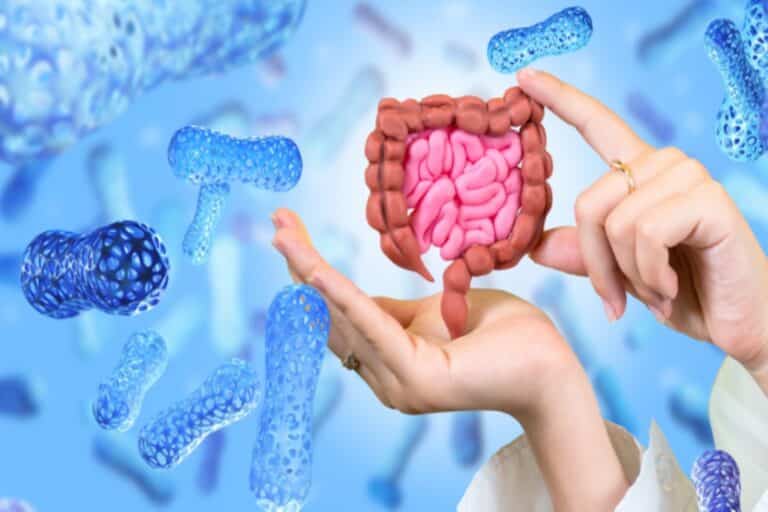 Έντερο: Το λαχανικό που ενισχύει το πεπτικό σύστημα και βελτιώνει τη διάθεση