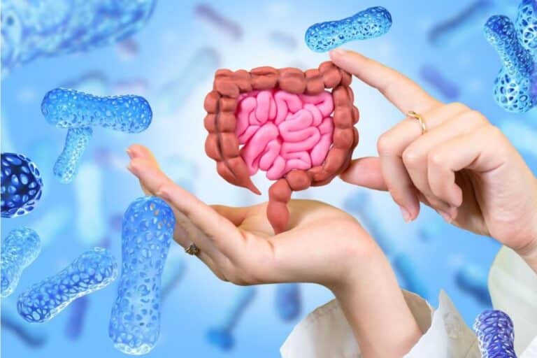 Σύνδρομο ευερέθιστου εντέρου: Η βιολογική βάση που αργά αποκαλύπτεται