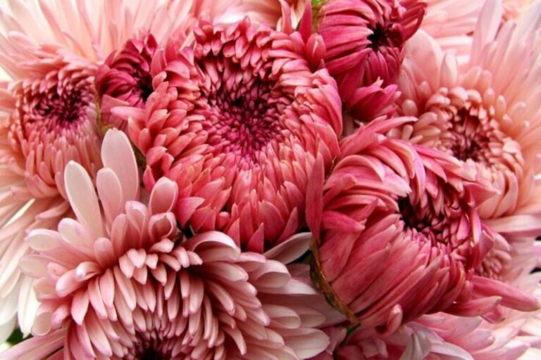 Γιατί έχουμε περισσότερη υπομονή με τους φίλους και λιγότερη με τους συντρόφους;