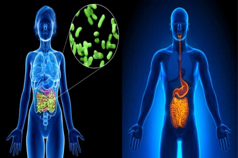 Μελέτη αμφισβητεί δεκαετίες παραδοχής για το σωματικό λίπος στην παιδική ηλικία