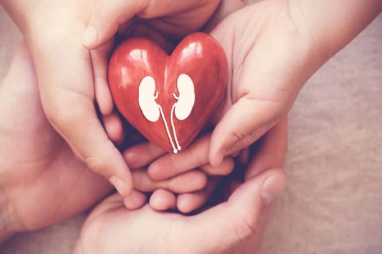 Ιαπωνία: Νέα εποχή στις μεταμοσχεύσεις – Ανοίγει ο δρόμος για περισσότερες δωρεές οργάνων